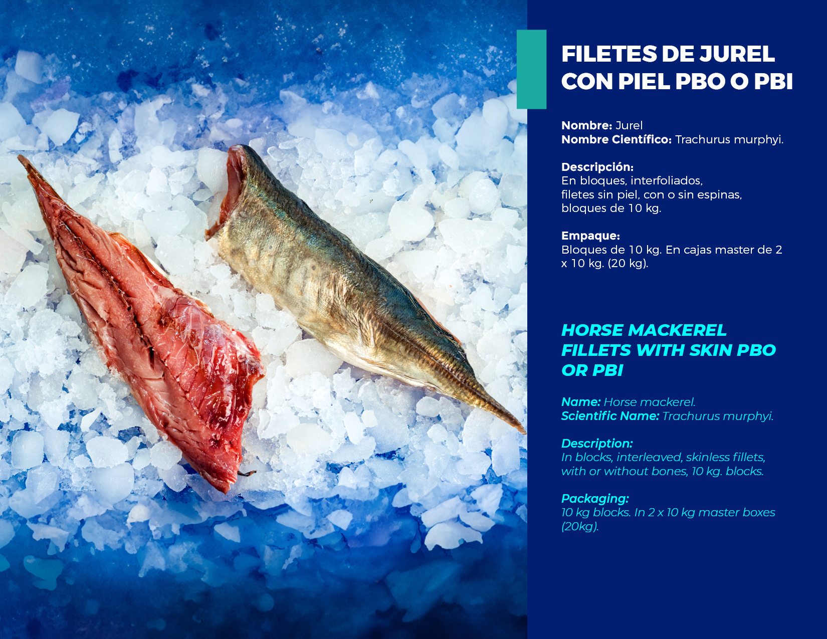 brochure 1